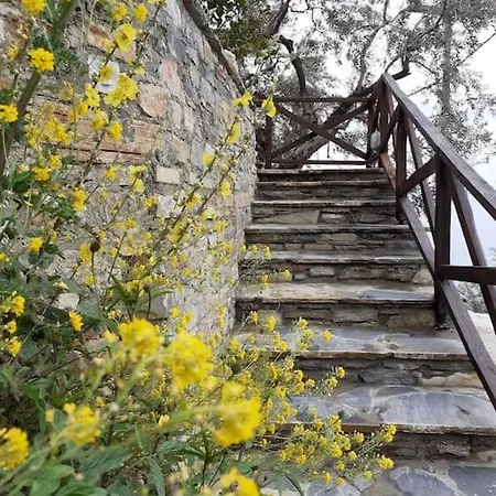 Limnionas Sunview Villa Xorychti Exterior photo