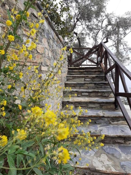 Holiday home Limnionas Sunview