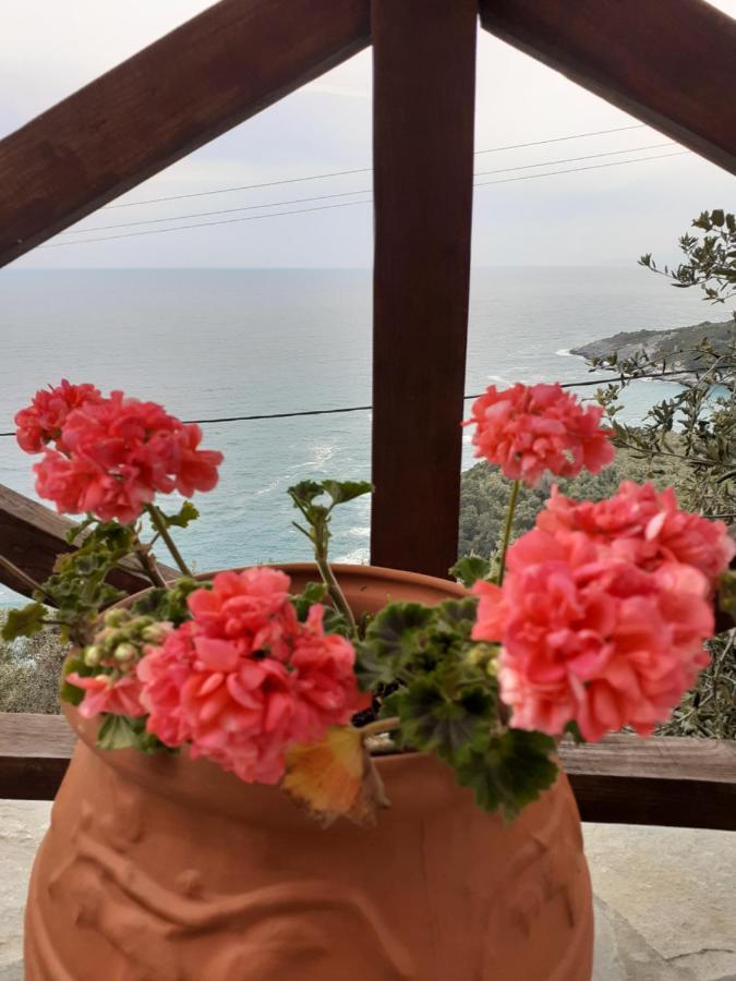 Limnionas Sunview *